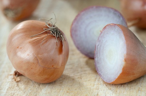 Shallots hero